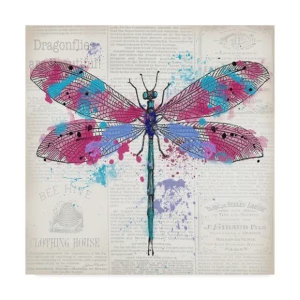 Jean Plout 'Dragonfly On Newsprint 2' Canvas Art, 35x35, Trademark Fine Art, Mfr#: ALI37349-C3535GG